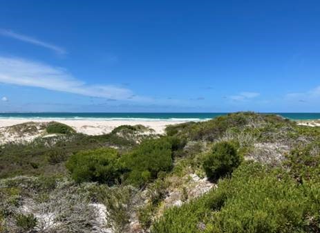 0 Bedroom Property for Sale in Struisbaai Western Cape